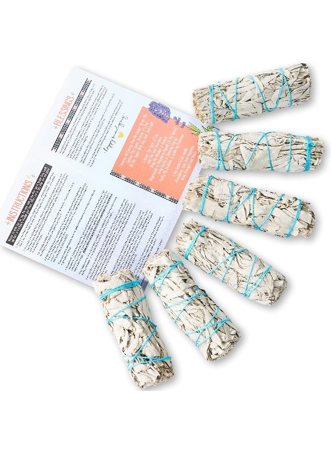 BLUE RIVER SAGE 6 Pack White Sage ~ Sage Smudge Sticks for Smudging & Cleansing Energy ~ Bulk/Wholesale ~ Sustainably Grown (6 Pack) - Image 5